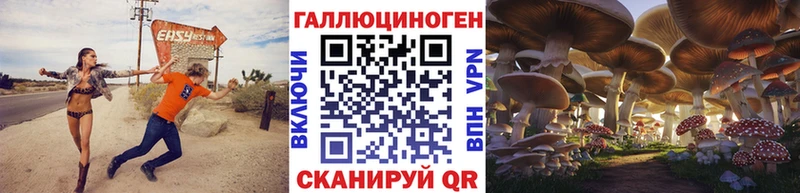 продажа наркотиков  Чишмы  mega ONION  Псилоцибиновые грибы GOLDEN TEACHER 